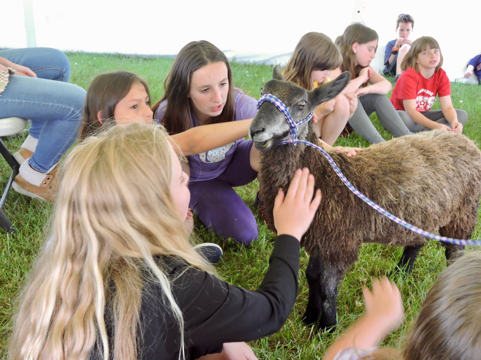 NCAL Humane Education