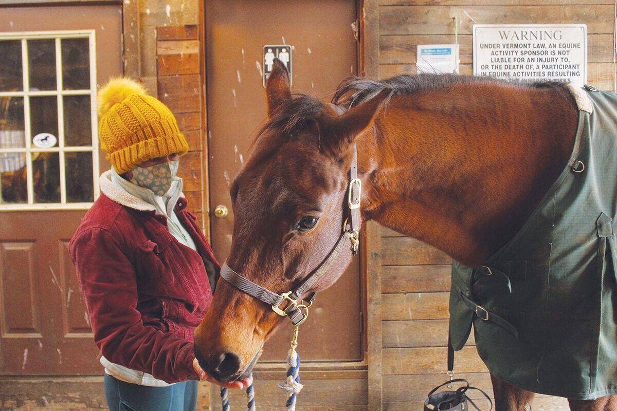 Sponsor Mirky the horse