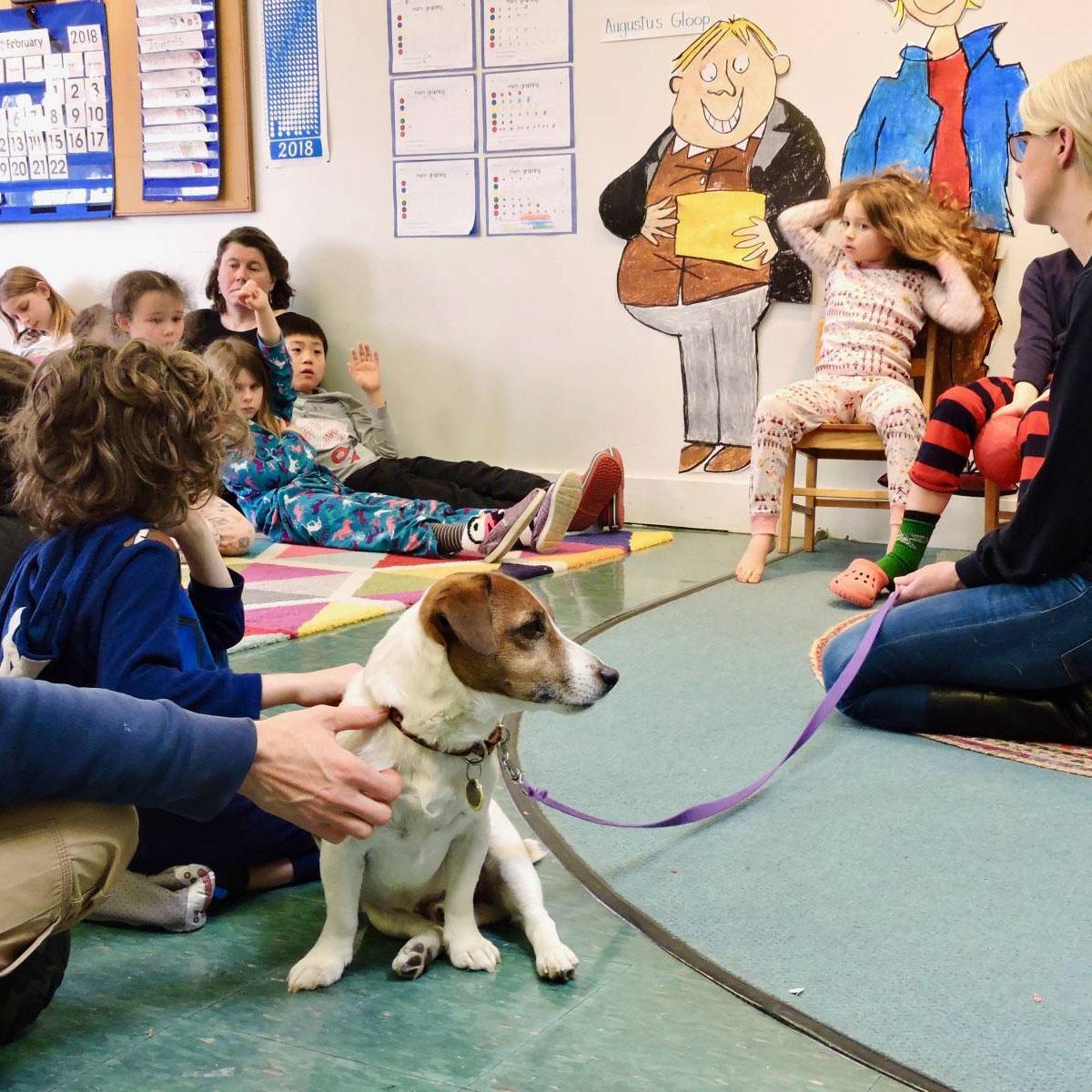 Visits Tours North Country Animal League Visits Tours North Country Animal League