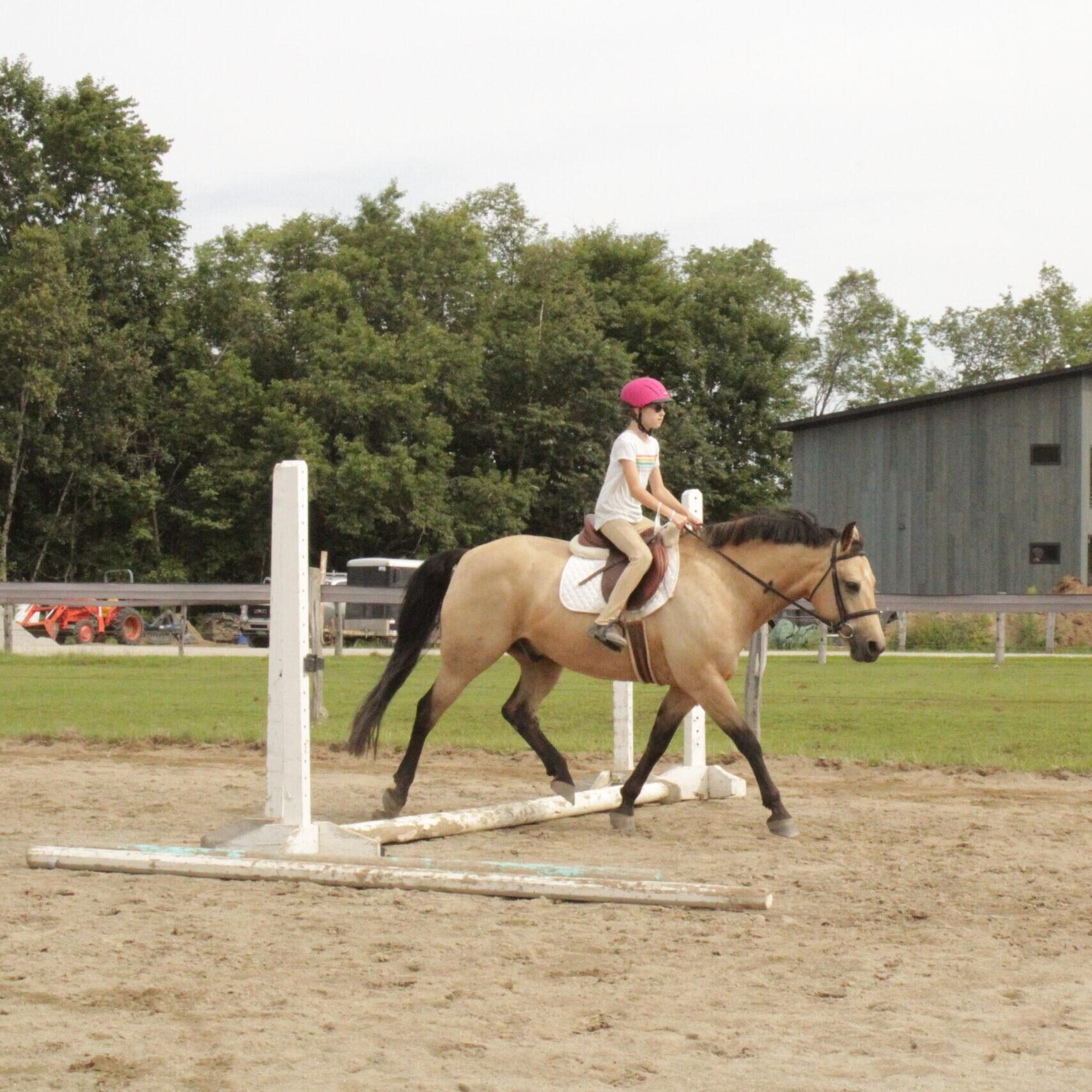 Horsemanship & Riding Camps – North Country Animal League