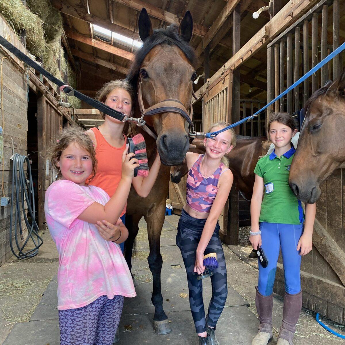 Horsemanship & Riding Camps – North Country Animal League