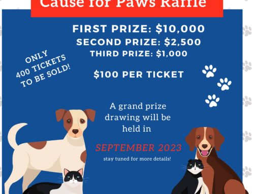 “Cause for Paws” Raffle is Back!
