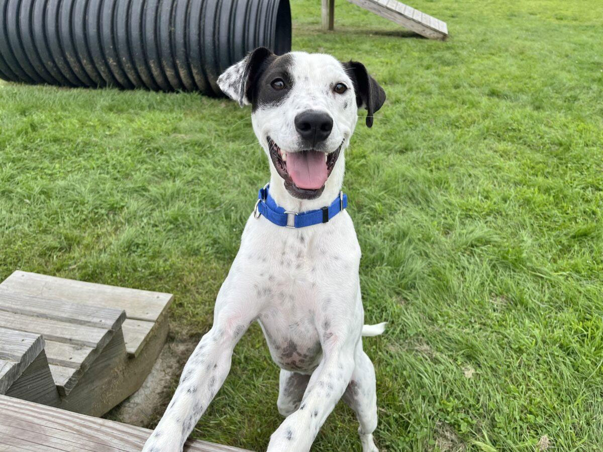 NCAL Wellness Clinics