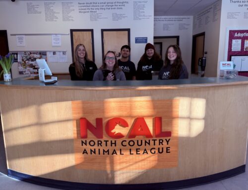 From Adoption Center to Animal Resource Center